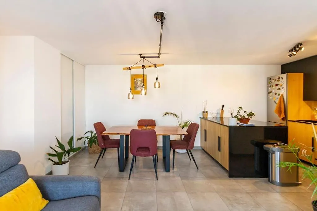 Chambre Chez Habitant Proche Metro Toulouse France